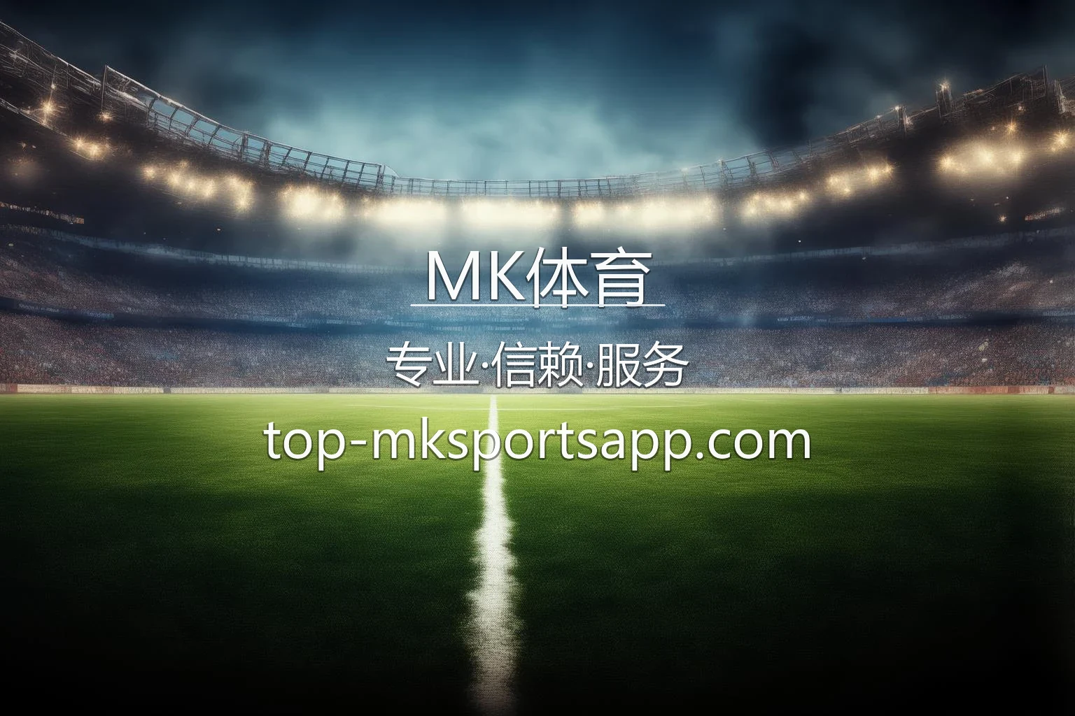 MK体育 赛事现场直播画面
